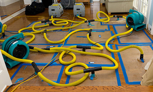 Professional Storm Water Damage Restoration technician working in Windsor Heights, IA